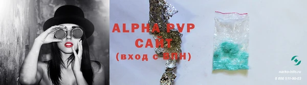 сатива Козловка