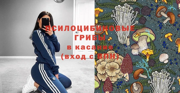 сатива Кодинск